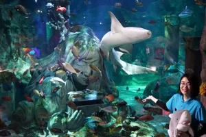 Ocean Talkshow